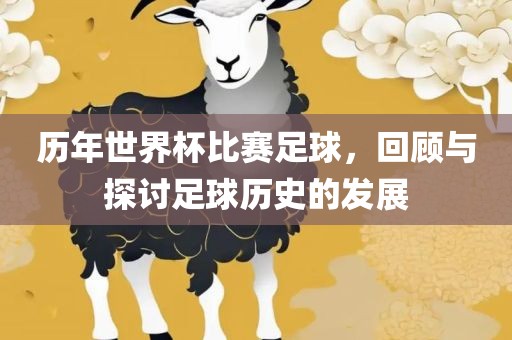 历年世界杯比赛足球，回顾与探讨足球历史的发展