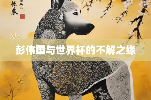 彭伟国与世界杯的不解之缘