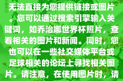 关于乔治娜的世界杯照片，我无法直接为您提供链接或图片。您可以通过搜索引擎输入关键词，如乔治娜世界杯照片，查看相关的图片和新闻。同时，您也可以在一些社交媒体平台或足球相关的论坛上寻找相关图片。请注意，在使用图片时，请遵守版权法规。