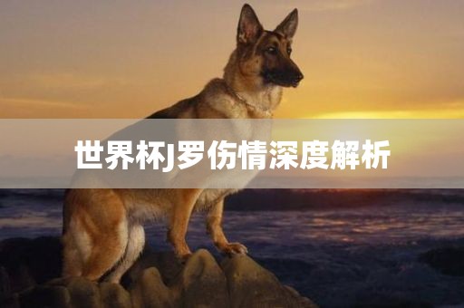 世界杯J罗伤情深度解析
