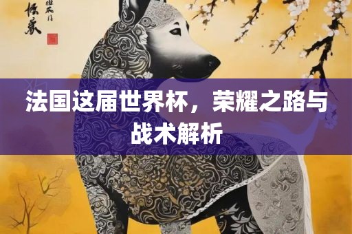法国这届世界杯，荣耀之路与战术解析