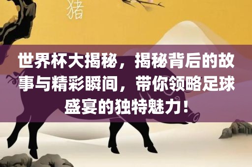 世界杯大揭秘，揭秘背后的故事与精彩瞬间，带你领略足球盛宴的独特魅力！