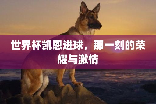 世界杯凯恩进球，那一刻的荣耀与激情