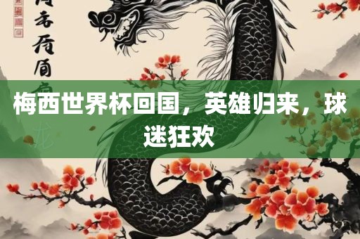 梅西世界杯回国，英雄归来，球迷狂欢