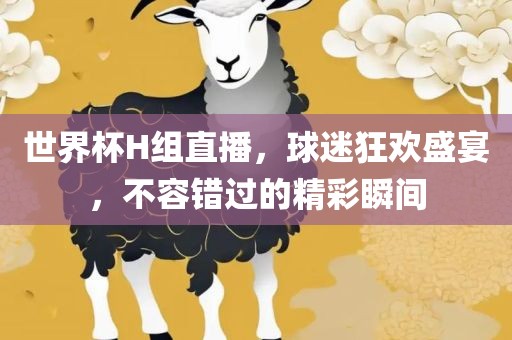 世界杯H组直播，球迷狂欢盛宴，不容错过的精彩瞬间
