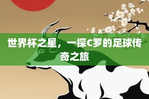 世界杯之星，一探C罗的足球传奇之旅