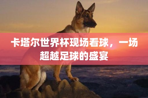 卡塔尔世界杯现场看球，一场超越足球的盛宴