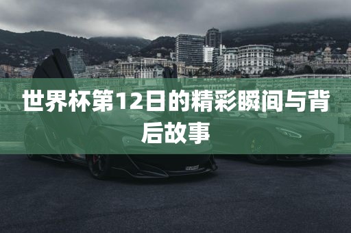 世界杯第12日的精彩瞬间与背后故事