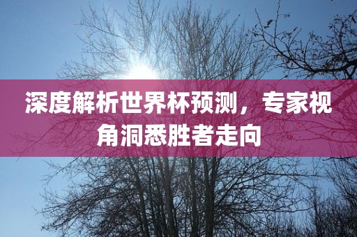 深度解析世界杯预测，专家视角洞悉胜者走向