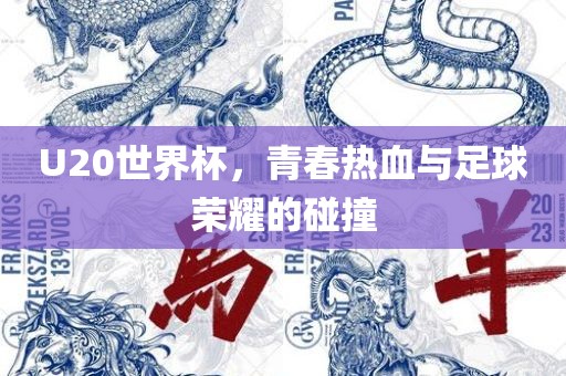 U20世界杯，青春热血与足球荣耀的碰撞