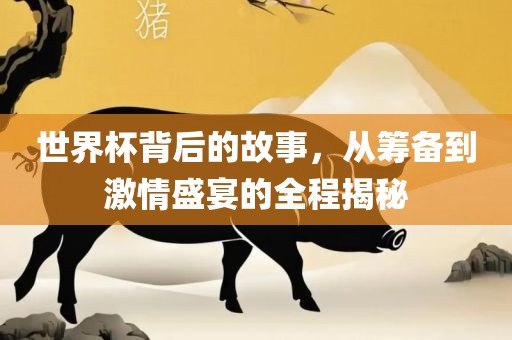 世界杯背后的故事，从筹备到激情盛宴的全程揭秘