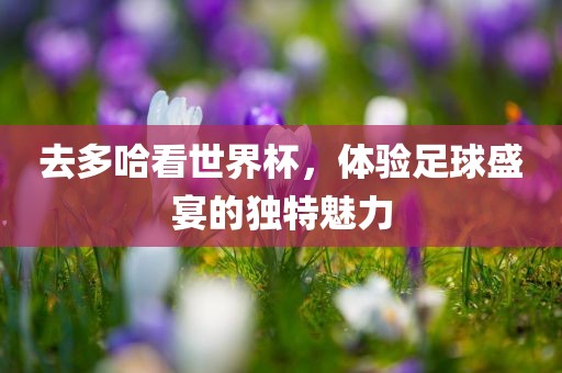去多哈看世界杯，体验足球盛宴的独特魅力