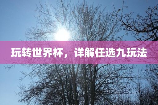 玩转世界杯，详解任选九玩法