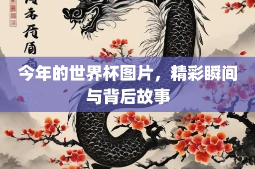 今年的世界杯图片，精彩瞬间与背后故事