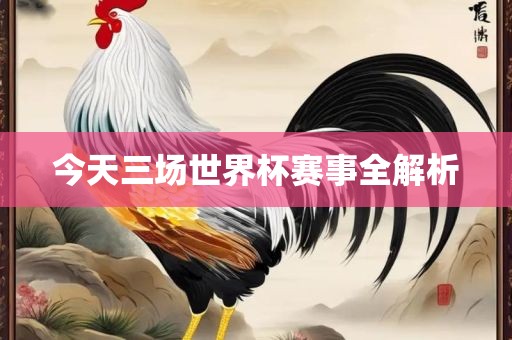 今天三场世界杯赛事全解析