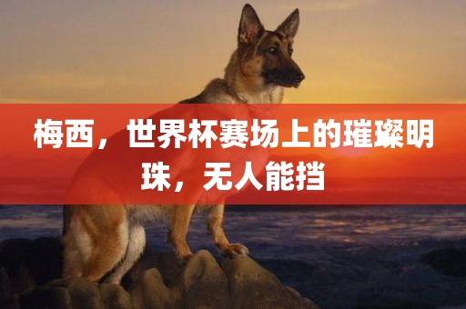 梅西，世界杯赛场上的璀璨明珠，无人能挡