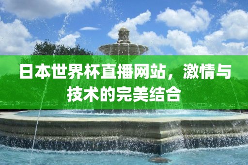 日本世界杯直播网站，激情与技术的完美结合
