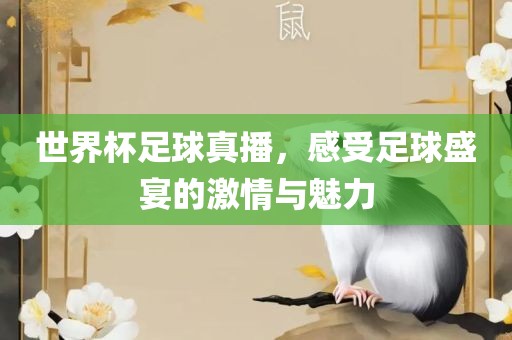世界杯足球真播，感受足球盛宴的激情与魅力