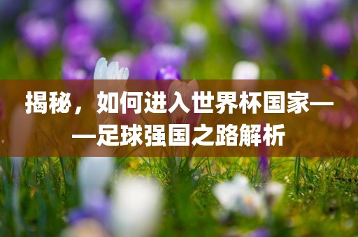 揭秘，如何进入世界杯国家——足球强国之路解析