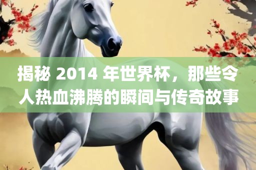 揭秘 2014 年世界杯，那些令人热血沸腾的瞬间与传奇故事吉安市靖泰电力工程有限公司