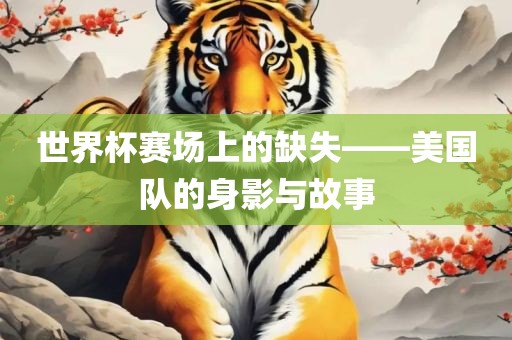 世界杯赛场上的缺失——美国队的身影与故事