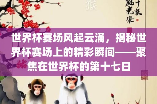 世界杯赛场风起云涌，揭秘世界杯赛场上的精彩瞬间——聚焦在世界杯的第十七日