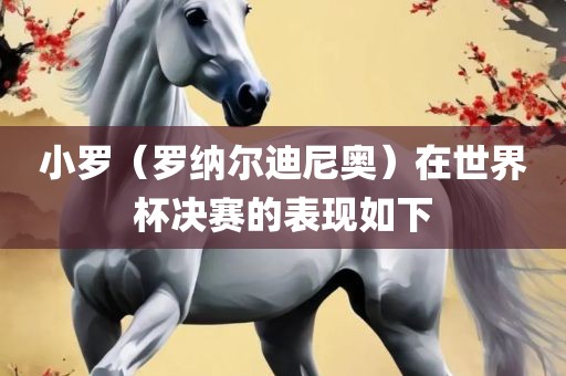 小罗（罗纳尔迪尼奥）在世界杯决赛的表现如下