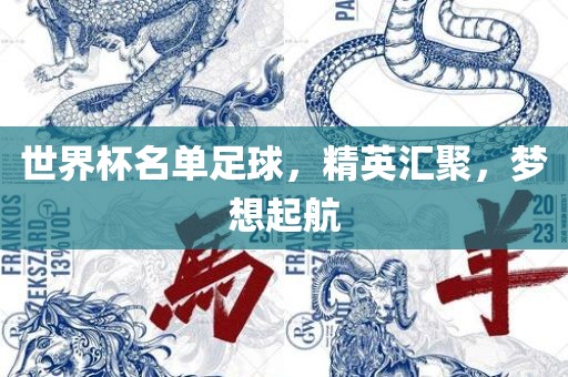 世界杯名单足球，精英汇聚，梦想起航