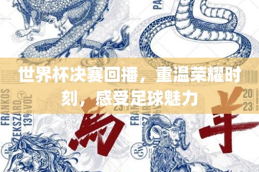世界杯决赛回播，重温荣耀时刻，感受足球魅力