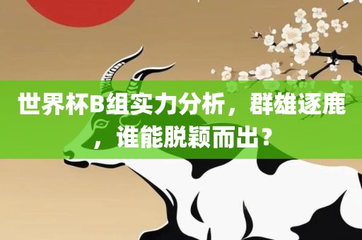 世界杯B组实力分析，群雄逐鹿，谁能脱颖而出？