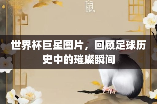 世界杯巨星图片，回顾足球历史中的璀璨瞬间