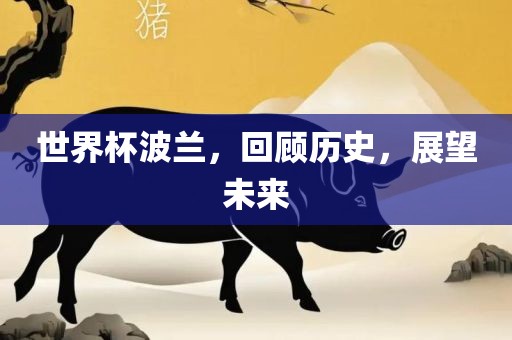 世界杯波兰，回顾吉安市靖泰电力工程有限公司历史，展望未来
