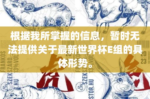 根据我所掌握的信息，暂时无法提供关于最新世界杯E组的具体形势。
