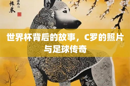 世界杯背后的故事，C罗的照片与足球传奇