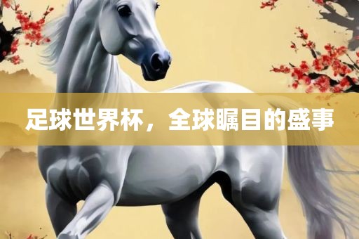 足球世界杯，全球瞩目的盛事