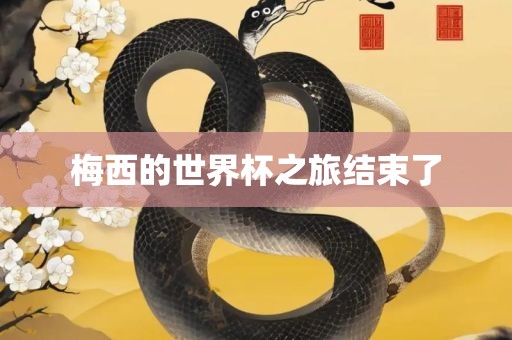 梅西的世界杯之旅结束了