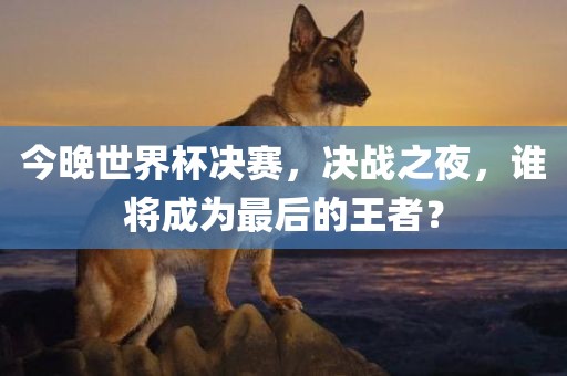 今晚世界杯决赛，决战之夜，谁将成为最后的王者？