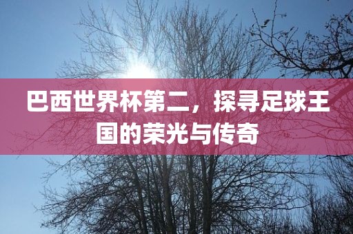 巴西世界杯第二，探寻足球王国的荣光与传奇