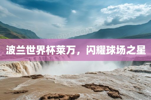 波兰世界杯莱万，闪耀球场之星