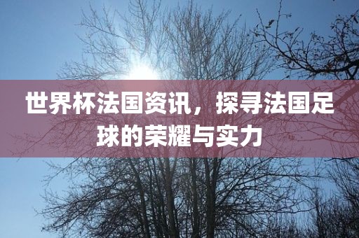 世界杯法国资讯，探寻法国足球的荣耀与实力