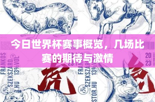 今日世界杯赛事概览，几场比赛的期待与激情