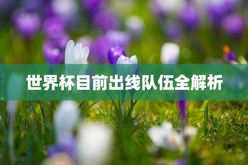 世界杯目前出线队伍全解析