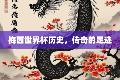 梅西世界杯历史，传奇的足迹