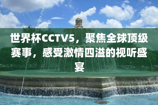 世界杯CCTV5，聚焦全球顶级赛事，感受激情四溢的视听盛宴