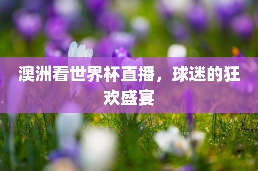澳洲看世界杯直播，球迷的狂欢盛宴