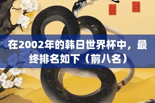 在2002年的韩日世界杯中，最终排名如下（前八名）