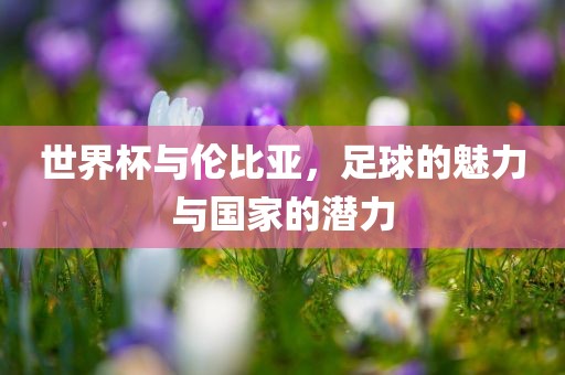 世界杯与伦比亚，足球的魅力与国家的潜力