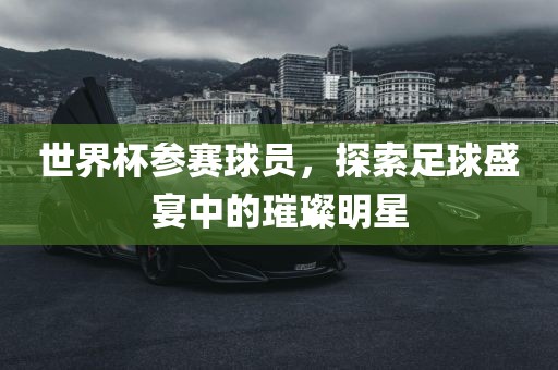世界杯参赛球员，探索足球盛宴中的璀璨明星