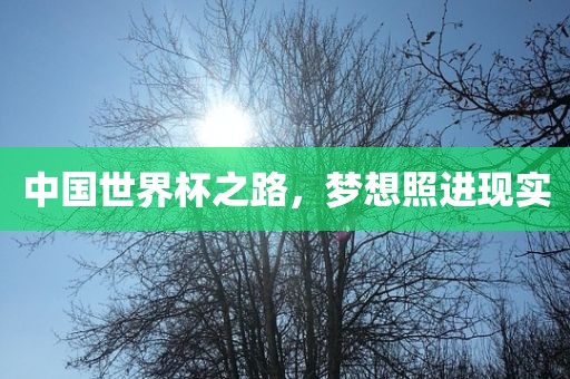 中国世界杯之路，梦想照进现实