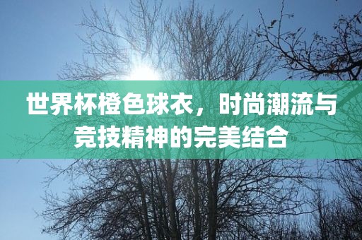 世界杯橙色球衣，时尚潮流与竞技精神的完美结合